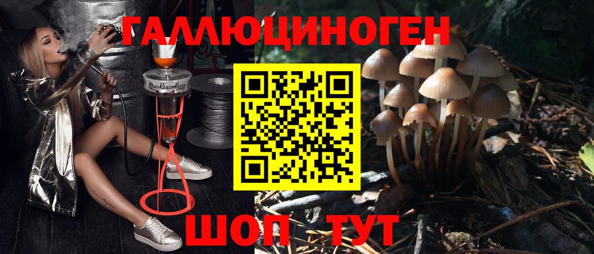 Лесной  Галлюциногенные грибы Psilocybe  Псилоцибиновые грибы ЛСД  Вход с VPN 