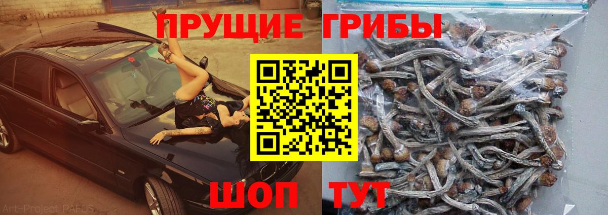 Псилоцибиновые грибы Magic Shrooms Лесной